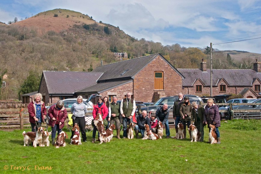 Have-a-Go Gundog Training – Gallery – 06/04/19