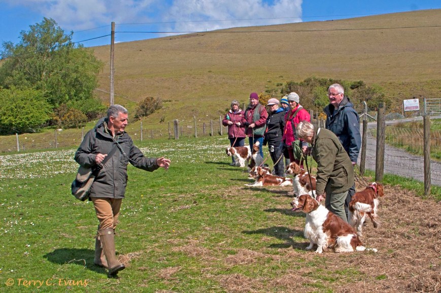 Have-a-go Gundog Training, Merthyr – 04/05/19