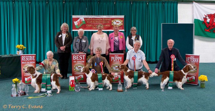 BEST IN SHOW LINEUP