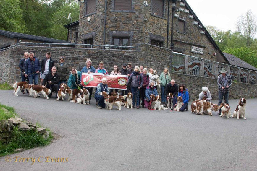 Parc Cwm Darran, Spring Welshie Walk – 10/05/26