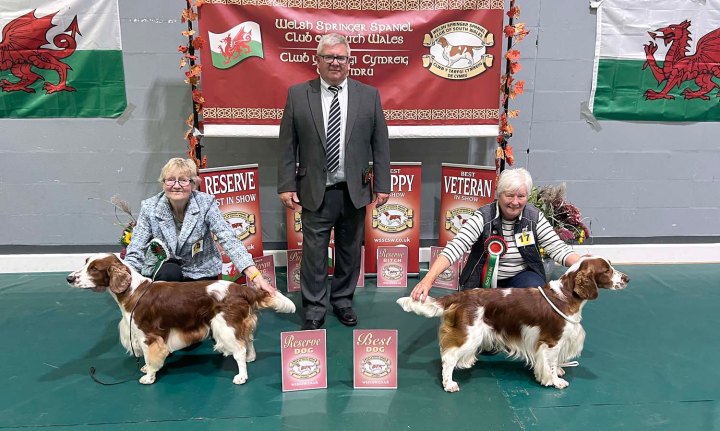 Open - Best Dog Lineup
